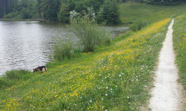 Seehof Am Leinecksee